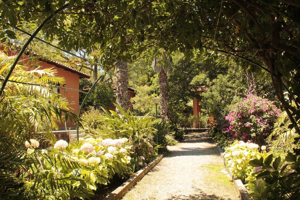 Villa Le Palme Garden San Giorgio  Exterior foto